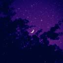 The Cosmos 21+ Discord Server Banner