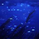 Ewazy Discord Server Banner