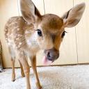 Losers club Discord Server Banner