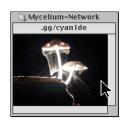 ⧉ Mycelium Network ₊🍄‍🟫 ¹⁸⁺ Discord Server Banner