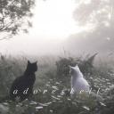 Amoreskell Discord Server Banner