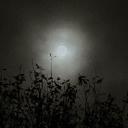 aurel Discord Server Banner