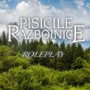 Pisicile Războinice | Trei Stele Discord Server Banner