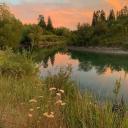 Perverts Discord Server Banner