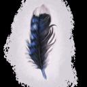 Everyday With Jay Discord Server Banner