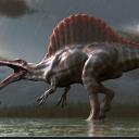 Minchiacrafters Discord Server Banner