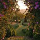 🌈🌸RAINBOW COALITION🌸🌈 Discord Server Banner