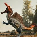 P.O.T Blood Ridge Discord Server Banner