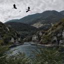 Aphmau: Minecraft Diaries | Role Discord Server Banner