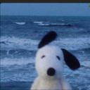 the cozy crew Discord Server Banner