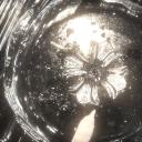 Moonveil Discord Server Banner