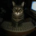 😜 The #1 Idiots. 😝 Discord Server Banner