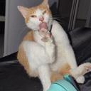 Grow your Channels! Discord Server Banner