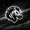 Team Zebrix Discord Server Banner