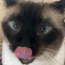 ✞ sɪʟʟʏ ʙɪʟʟʏ ᴄᴇɴᴛʀᴀʟ ✞ Discord Server Banner