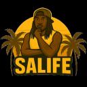 SaLife Romania RP Discord Server Banner