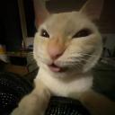 SillyTeenagers Discord Server Banner