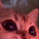 Cats Café (18+) Discord Server Banner