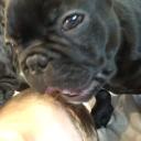 Whitty’s Minivan Discord Server Banner