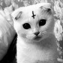 69$ Discord Server Banner