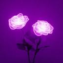 Rosie's Place Discord Server Banner