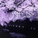 Dār al-Athar | دار الأثر Discord Server Banner