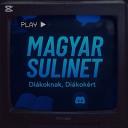 Magyar Sulinet Discord Server Banner