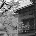 Void Kaneki's server Discord Server Banner