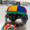 cool cats corner Icon
