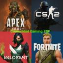 Comunidad Gaming ESP Discord Server Banner