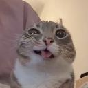 `⋌ 𝒂𝒑𝒊𝒕𝒘 ⋋` Discord Server Banner