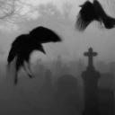 Metntal Haven Discord Server Banner