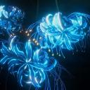 Blossoming flower (sz team) Discord Server Banner