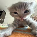 Gooners/emojis Discord Server Banner