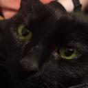 Behind the Scenes Discord Server Banner