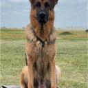 Feral Utopia Discord Server Banner