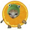 Servidor do Louis Discord Server Banner