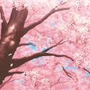 DevHub Discord Server Banner