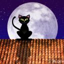 LunarX Discord Server Banner