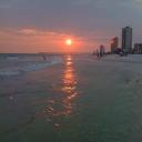 🌴𝓢𝓵𝓲𝓬𝓮 𝓞𝓯 𝓕𝓵𝓸𝓻𝓲𝓭𝓪 Discord Server Banner