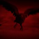 Zw7 Discord Server Banner