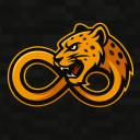 Infinity Roar Discord Server Banner