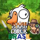 Gosse Gosse Duck BR Discord Server Banner