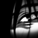 Purocrime Discord Server Banner