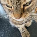 Readers📘 Discord Server Banner