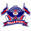 BullaPixel Discord Server Banner