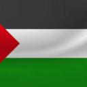 PMPalestine Discord Server Banner
