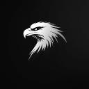 Águia Fornecedor Discord Server Banner