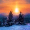 Dawn's Respite RP 18+ Discord Server Banner