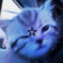 𐂯 𝕻𝖚𝖕'𝖘 𝕻𝖑𝖆𝖞𝖕𝖊𝖓 𐂯 Discord Server Banner